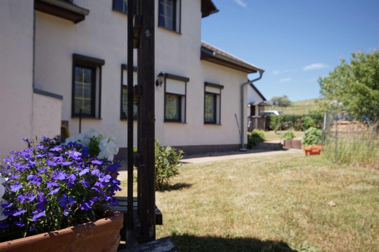 Ferienwohnungen Beim Fischer Und Sin Fru Klein Zicker Exteriör bild